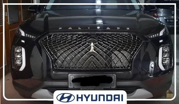Front Grille in Hyundai Cars