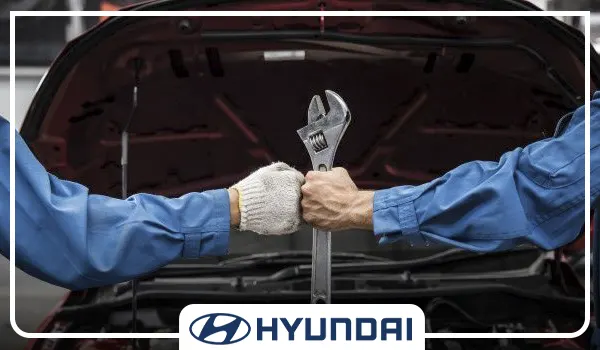 تخصص و دانش فنی بالا